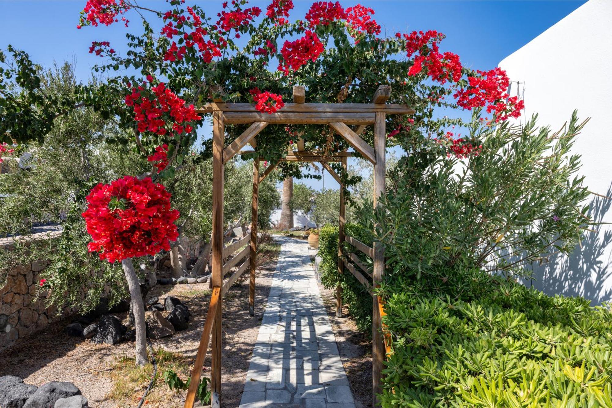 Anema Boutique Hotel & Villas Santorini Vourvoúlos Exteriör bild